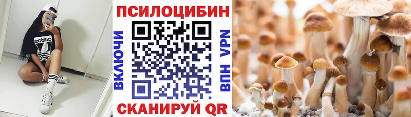 Галлюциногенные грибы мухоморы  Усть-Илимск 