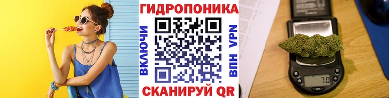 купить наркотики сайты  кракен ссылки  Бошки Шишки индика  Усть-Илимск 